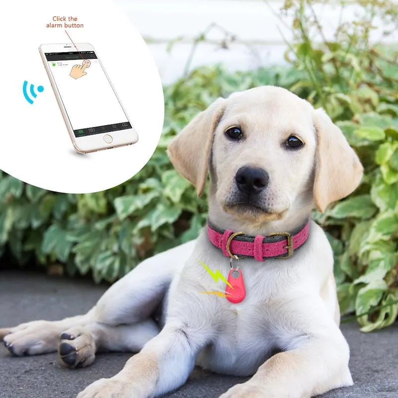 GPS-Tracker für Haustiere – Echtzeit-Ortung für Hunde