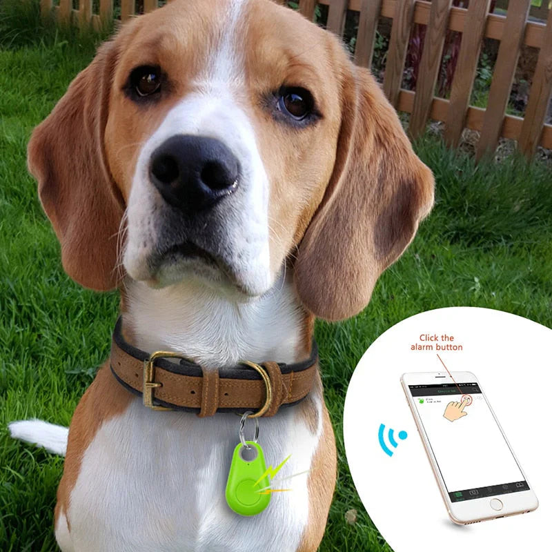GPS-Tracker für Haustiere – Echtzeit-Ortung für Hunde