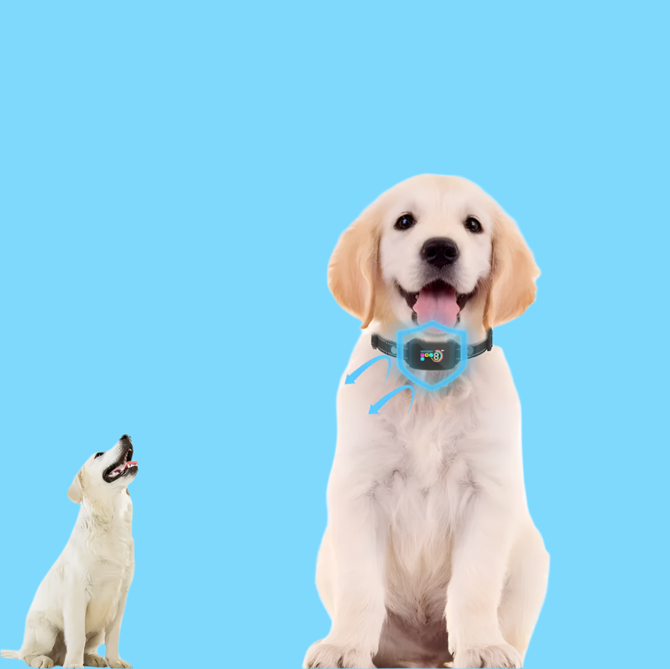 Hundetrainingshalsband mit Ton- und Vibrationsfunktion – 8 Stufen, ohne Stromschlag