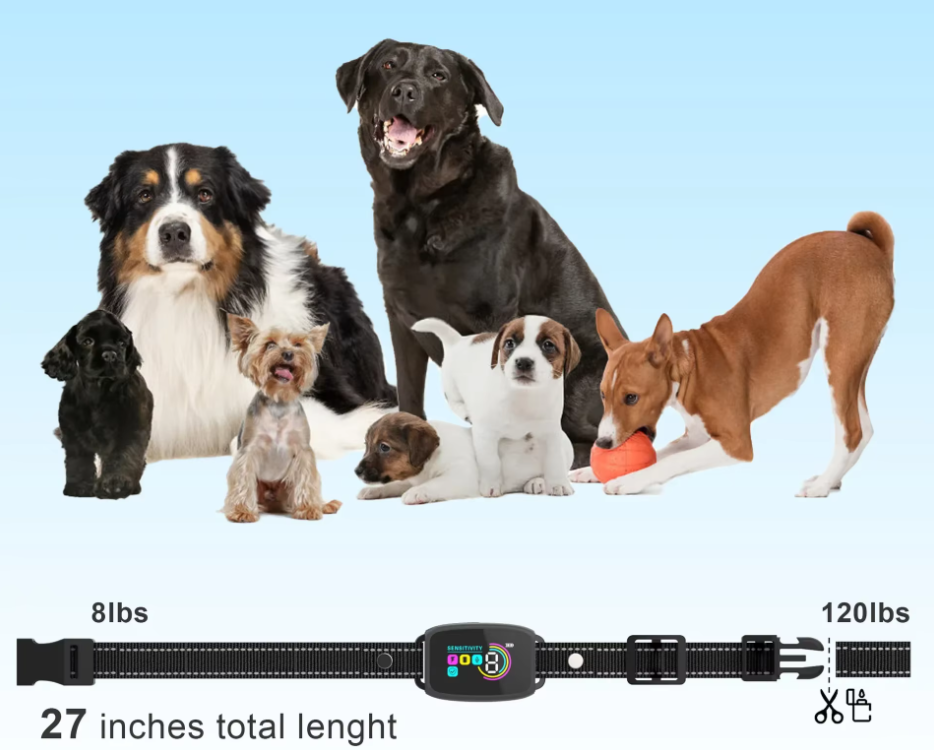 Hundetrainingshalsband mit Ton- und Vibrationsfunktion – 8 Stufen, ohne Stromschlag
