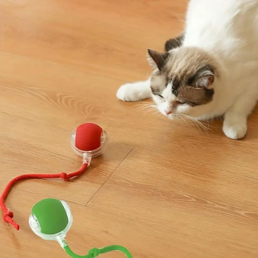 Elektrischer Katzenball mit Schwanz – Interaktives Smart-Spielzeug für Katzen