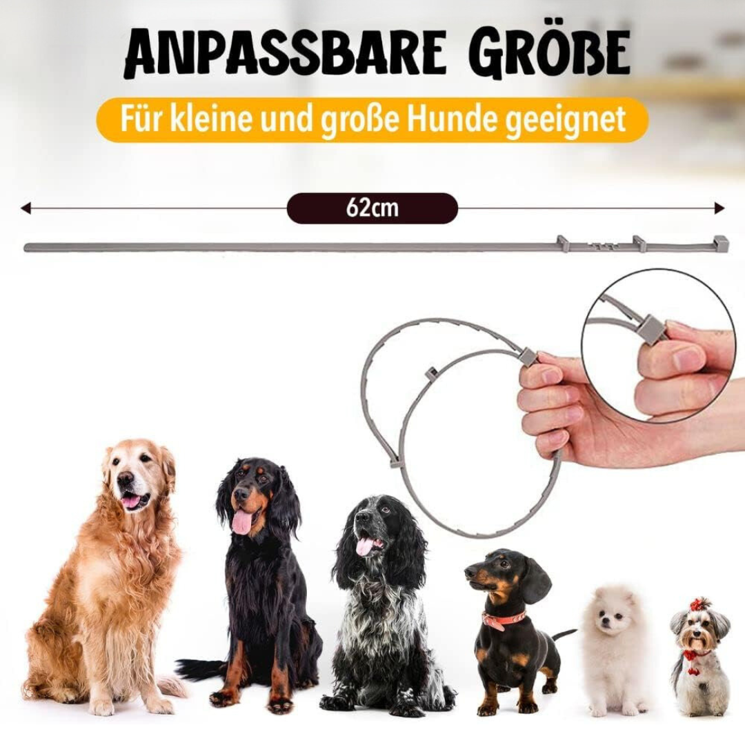 Anti-Zecken- und Floh-Halsband für Hunde – Natürlicher Schutz – NaturaGuard