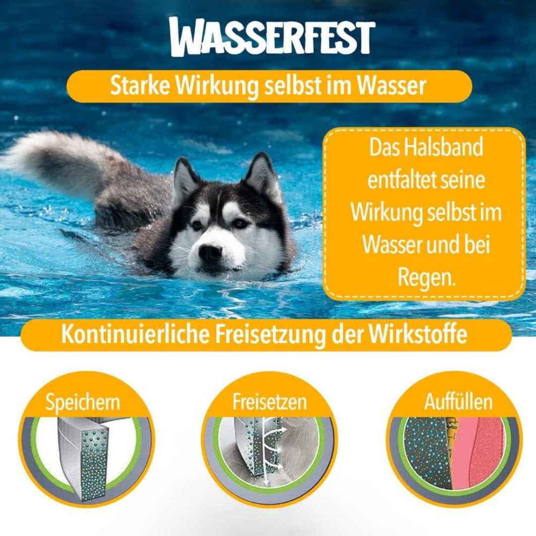 Anti-Zecken- und Floh-Halsband für Hunde – Natürlicher Schutz – NaturaGuard