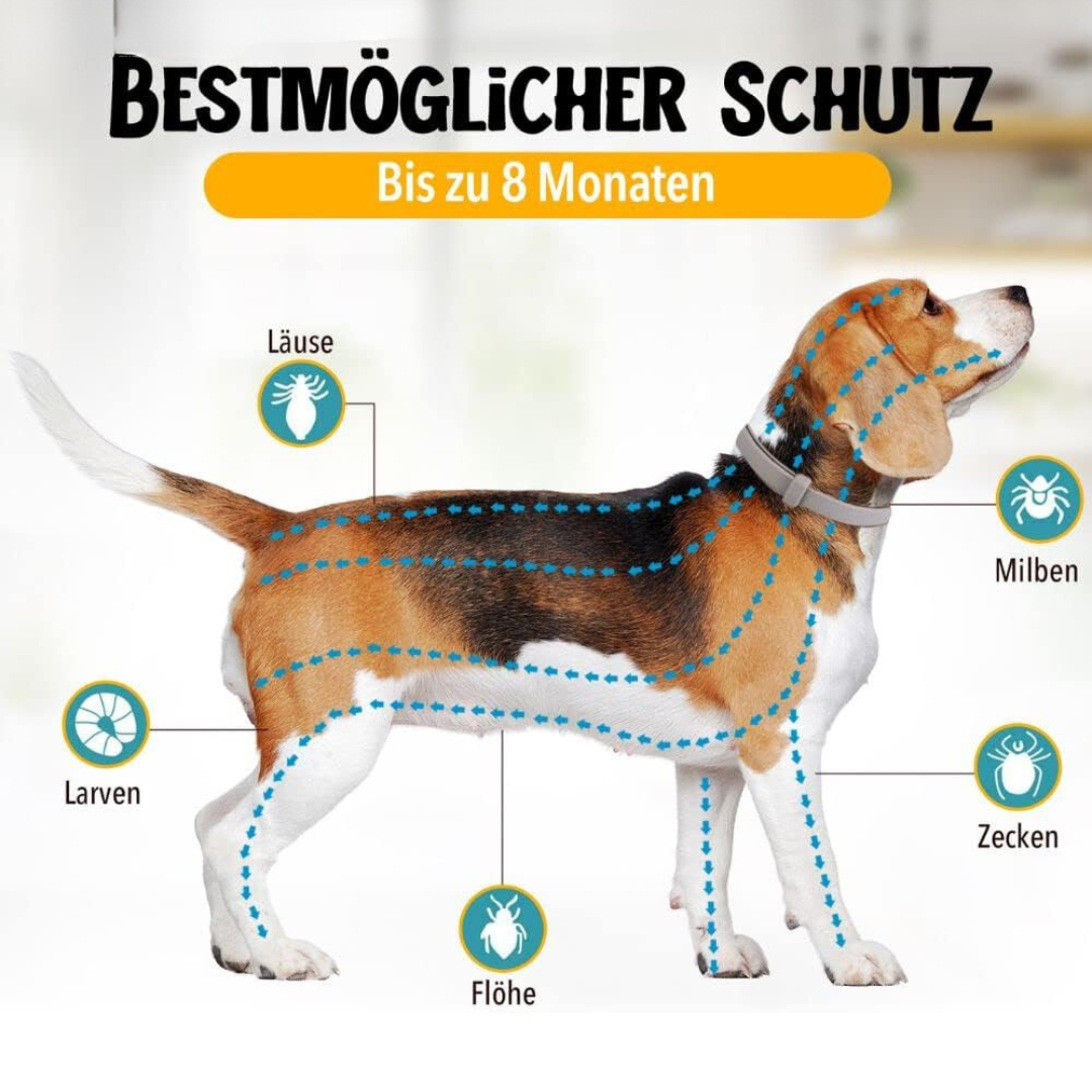 Anti-Zecken- und Floh-Halsband für Hunde – Natürlicher Schutz – NaturaGuard